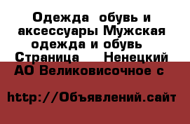 Одежда, обувь и аксессуары Мужская одежда и обувь - Страница 4 . Ненецкий АО,Великовисочное с.